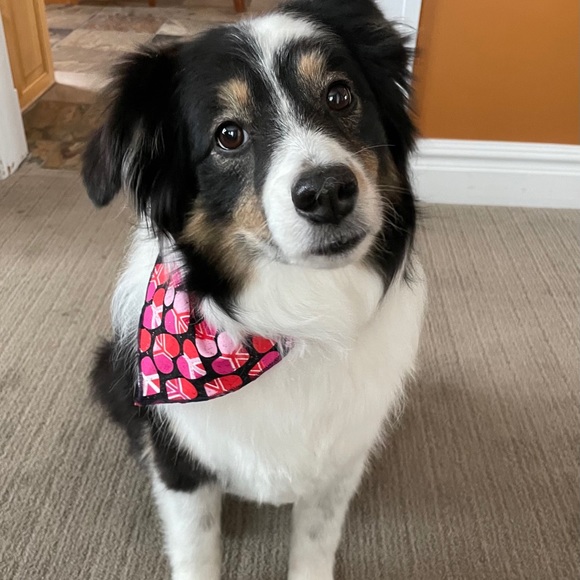 Meet your Posher, Nancy - Picture 1 of 1